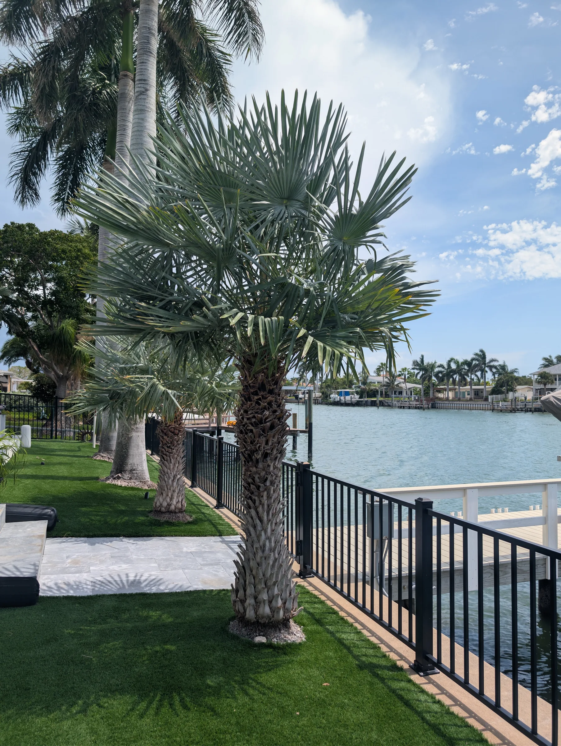 Get in Touch With Palm Protectors