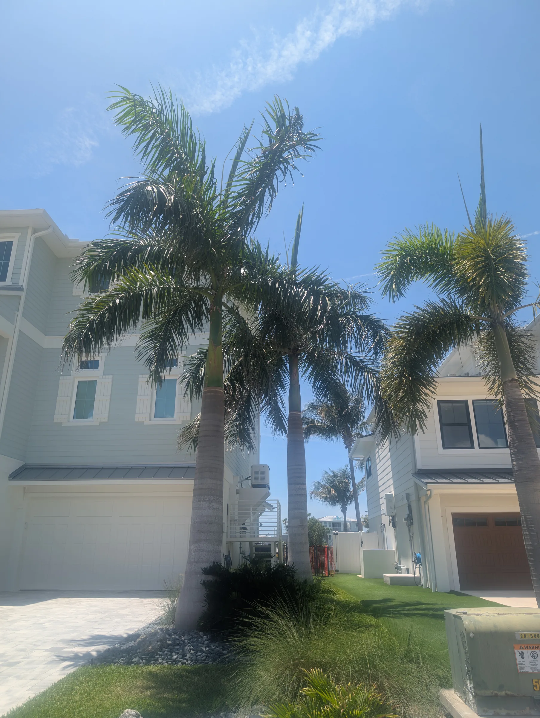 Residential Palm Tree Service in New Port Richey, FL